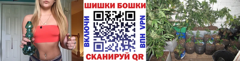 ОМГ ОМГ ТОР Канск Бошки марихуана THC 21%